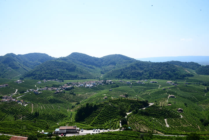 Colline del Prosecco foto